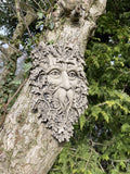 STONE GARDEN WICCAN BEARDED GREEN MAN FACE WALL PLAQUE HANGING PAGAN 🌿