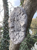 STONE GARDEN WISE OLD TREE GREEN MAN FOREST FACE WALL PLAQUE ACORN PAGAN WICCAN