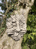 STONE GARDEN CHEEKY GRINNING GREEN MAN FACE WALL PLAQUE HANGING PAGAN 🍄🌿