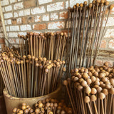 SET OF 10 RUSTY 1.5M BALL TOP GARDEN PLANT SUPPORTS STAKES
